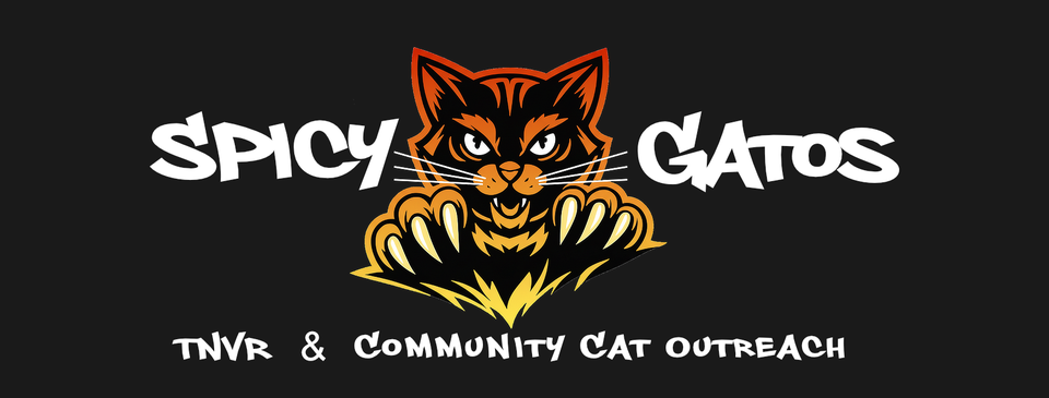 Spicy Gatos - TNVR & Community Cat Outreach
